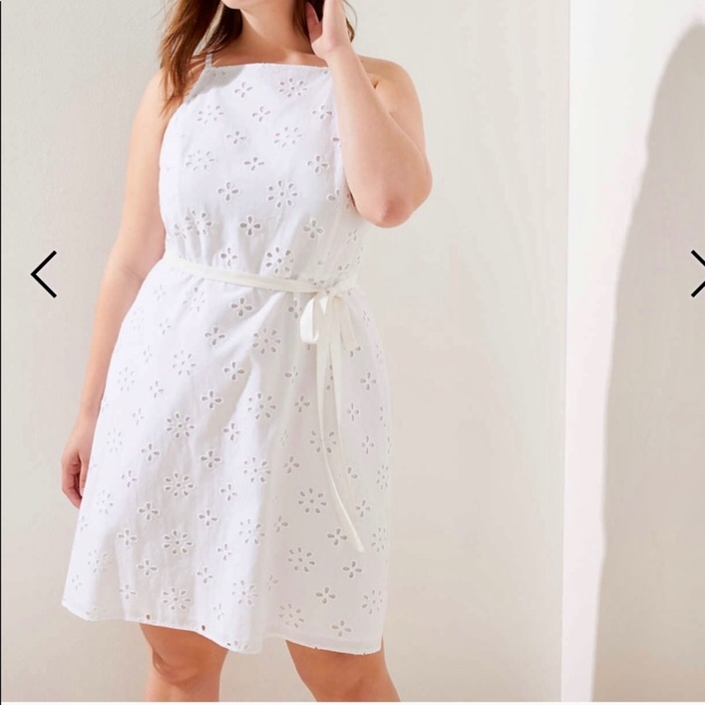 LOFT Plus Eyelet Flare Dress 16W NWT